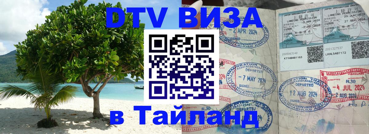 DTV Visa Тайланд купить Веллингтон 